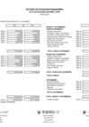 Vista preliminar de documento Estado de Situación Financiera II Semestre 2020