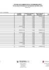 Vista preliminar de documento Estado de Cambios en el Patrimonio Neto II Semestre 2020