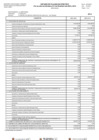 Vista preliminar de documento Estado de Flujo de Efectivo II Semestre 2020