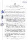 Vista preliminar de documento RGM_0287_2021_MPH.pdf
