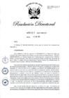 Vista preliminar de documento RD-2021-00031-999