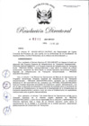 Vista preliminar de documento RD-2021-00313-999