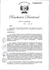 Vista preliminar de documento RD-2021-00317-999