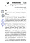 Vista preliminar de documento R.D.N°209-2022-HGJ.pdf