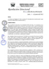 Vista preliminar de documento R.D.N°253-2022-HGJ.pdf
