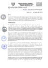 Vista preliminar de documento R.D.N°304-2022-HGJ.pdf