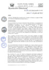 Vista preliminar de documento R.D.N°298-2022-HGJ-DE.pdf