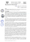Vista preliminar de documento R.D.N°289-2022-HGJ.pdf
