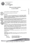 Vista preliminar de documento 1-Comisión-Proceso-CAS-Nro-02-2019-MDM.pdf