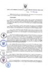 Vista preliminar de documento RES N°031-2023-GRDS