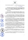Vista preliminar de documento RES N°033-2023-GRDS