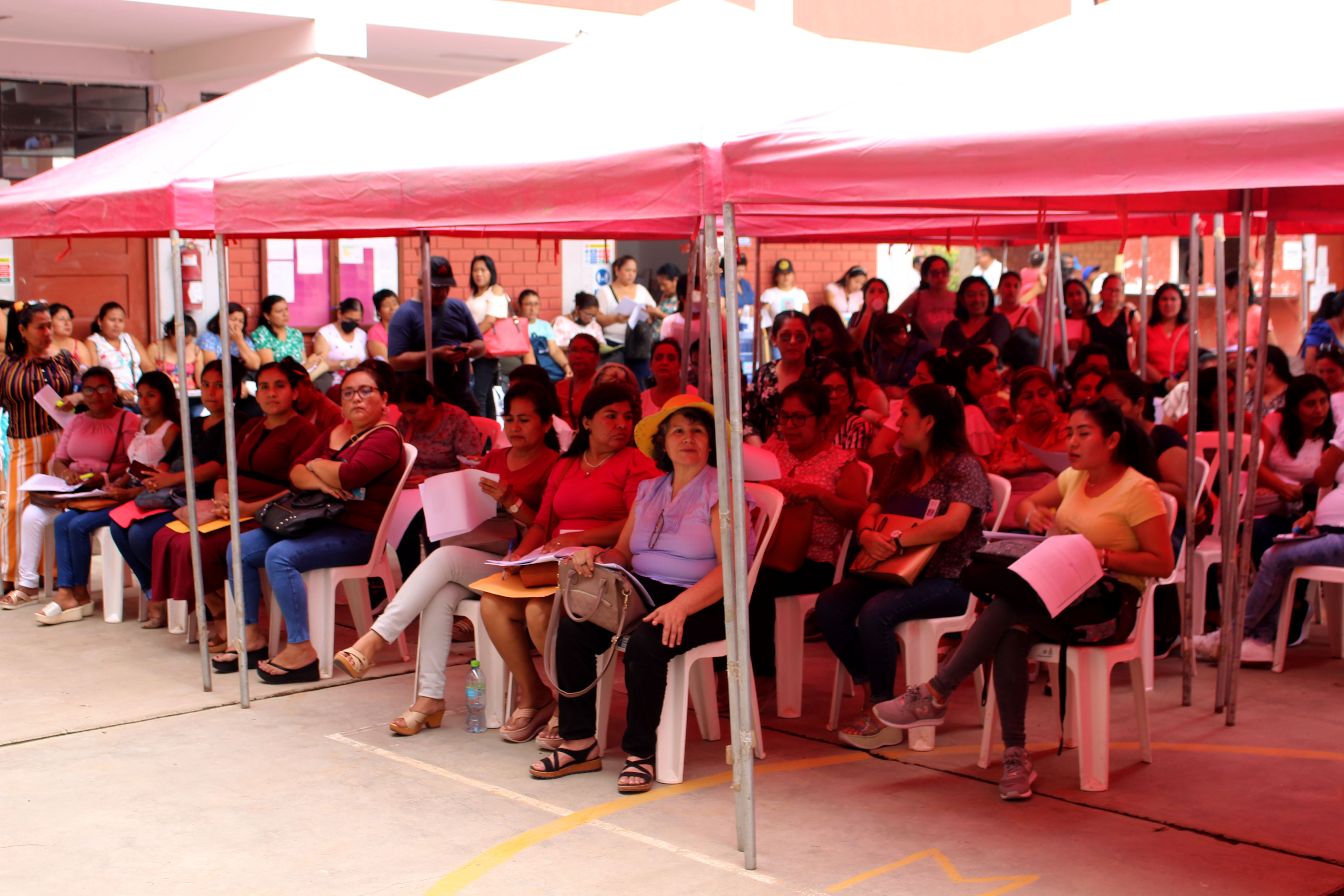 Las docentes postulantes adjudicaron plaza en estricto orden de mérito.