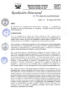 Vista preliminar de documento R.D.N°173-2022-HGJ.pdf