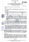 Vista preliminar de documento RGM_0303_2021_MPH.pdf