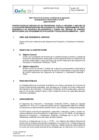 Vista preliminar de documento TDR 501 OCI.pdf
