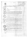 Vista preliminar de documento 541