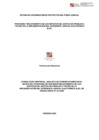 Vista preliminar de documento TDR Analista en Comunicaciones