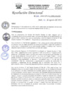 Vista preliminar de documento R.D.N°316-2022-HGJ.pdf
