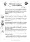 Vista preliminar de documento N°1313.pdf