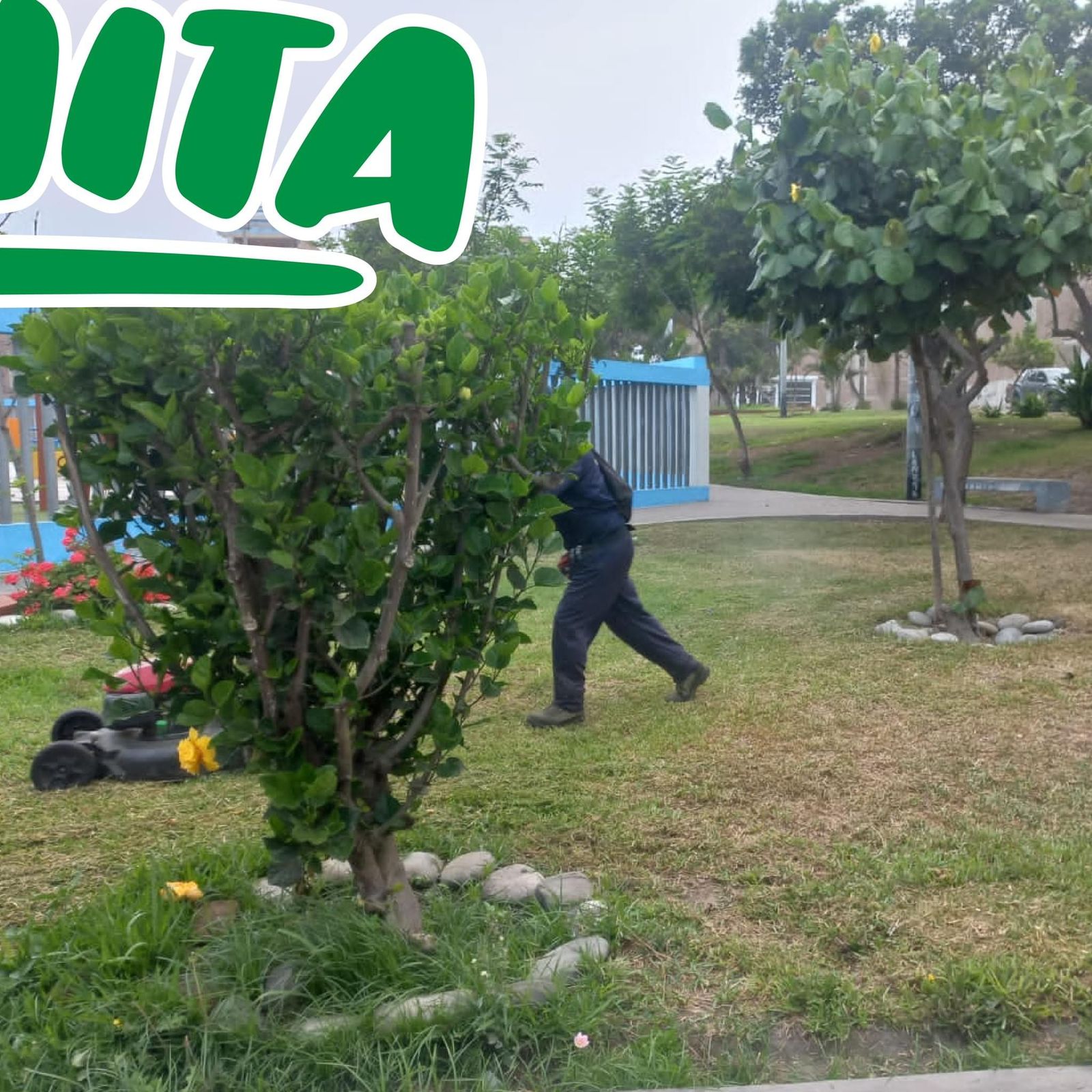 Barranca Te Queremos Bonita