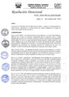 Vista preliminar de documento R.D.N°431-2022-HGJ.pdf