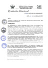 Vista preliminar de documento R.D.N°426-2022-HGJ.pdf