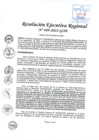 Vista preliminar de documento RER-489-2022.pdf