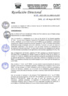 Vista preliminar de documento R.D.N°195-2022-HGJ.pdf