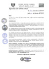 Vista preliminar de documento R.D.N°246-2022-HGJ.pdf