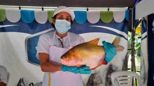 A COMER PESCADO