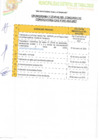 Vista preliminar de documento cronograma.pdf