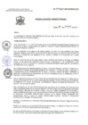 Vista preliminar de documento Resolución Directoral 039-2017-GRC/DIRESA/DG