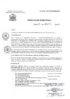 Vista preliminar de documento Resolución Directoral 872-2017 GRC/DIRESA/DG