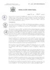 Vista preliminar de documento Resolución Directoral 836-2017 GRC/ DIRESA/ DG