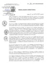 Vista preliminar de documento Resolución Directoral 969-2017 GRC/DIRESA/DG