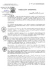 Vista preliminar de documento Resolución Directoral 991-2017 GRC/DIRESA/DG