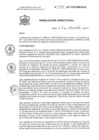 Vista preliminar de documento Resolución Directoral 1292-2017-GRC/DIRESA/DG