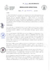 Vista preliminar de documento Resolución Directoral 462-2022-GRC/DIRESA/DG