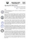 Vista preliminar de documento R.D.N°234-2022-HGJ.pdf