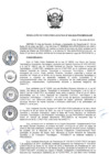 Vista preliminar de documento RDE N° 004-2023.pdf