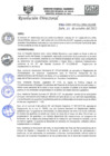 Vista preliminar de documento R.D.N°453-2022-HGJ.pdf