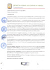 Vista preliminar de documento 0005-2023.pdf