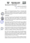 Vista preliminar de documento R.D.N°454-2022-HGJ.pdf