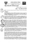 Vista preliminar de documento RD-N-029-2020.pdf