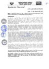Vista preliminar de documento RD-N-060-2021.pdf