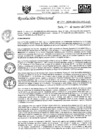 Vista preliminar de documento RD-N-051-2020.pdf