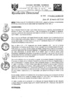 Vista preliminar de documento RD-N-046-2020.pdf
