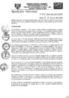 Vista preliminar de documento RD-N-043-2020.pdf