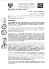 Vista preliminar de documento RD-N-042-2020.pdf