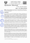 Vista preliminar de documento RD-N-040-2020.pdf